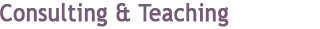 Consulting and Teaching